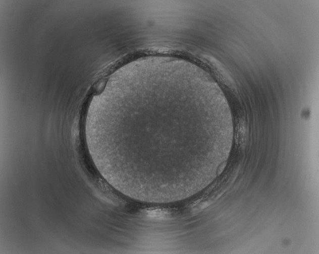 X0000116570500201001211246