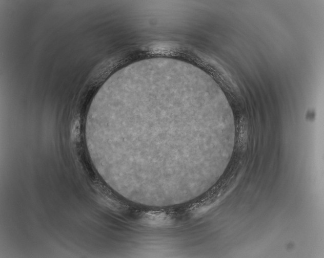 X0000116570502201001211246