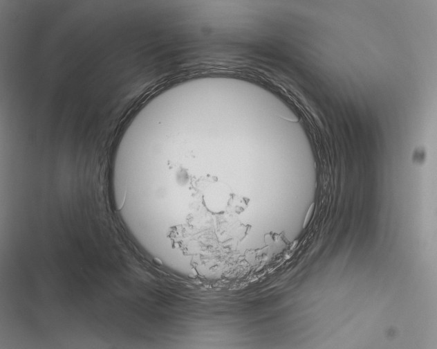 X0000116570505201001211246