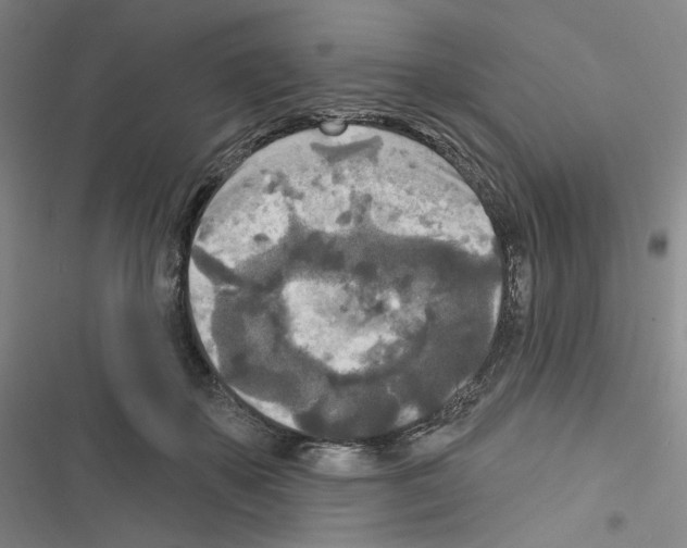 X0000116570507201001211246