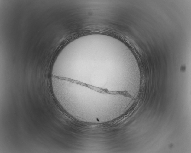 X0000116570509201001211246