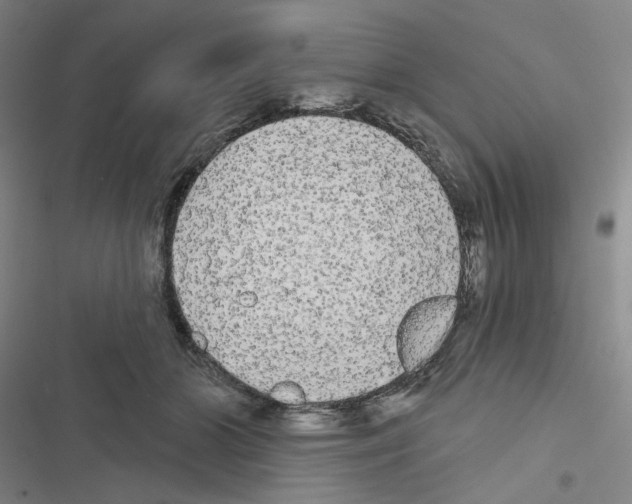 X0000116570510201001211246