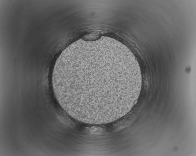 X0000116570512201001211246