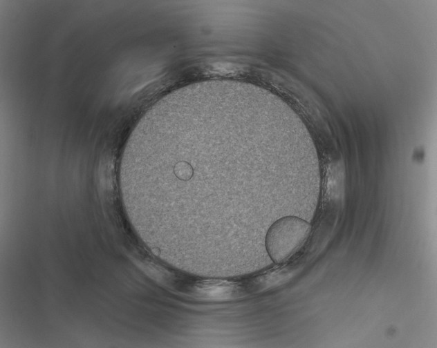 X0000116570514201001211246