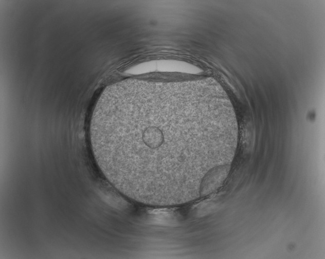 X0000116570516201001211246