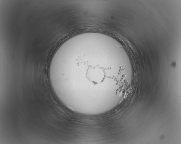 X0000116570517201001211246