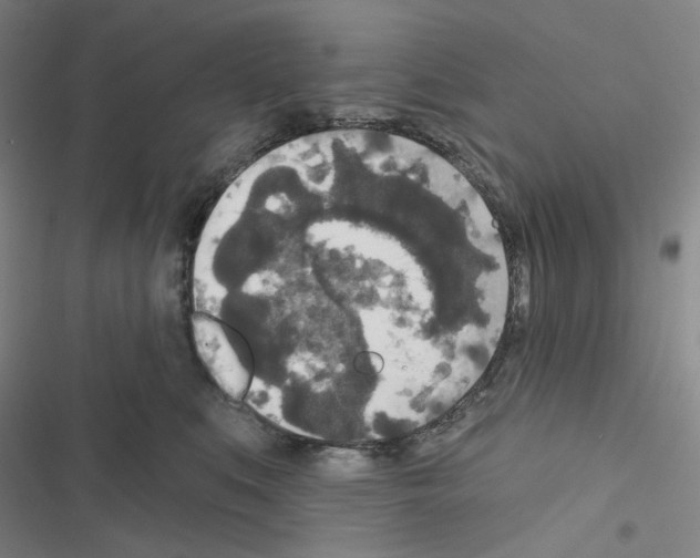 X0000116570519201001211246