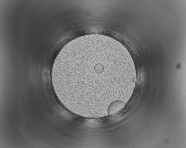 X0000116570522201001211246