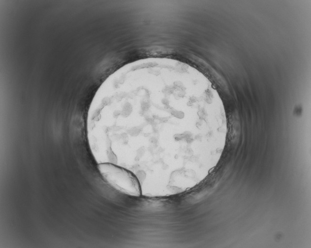 X0000116570523201001211246