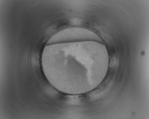 X0000116570524201001211246