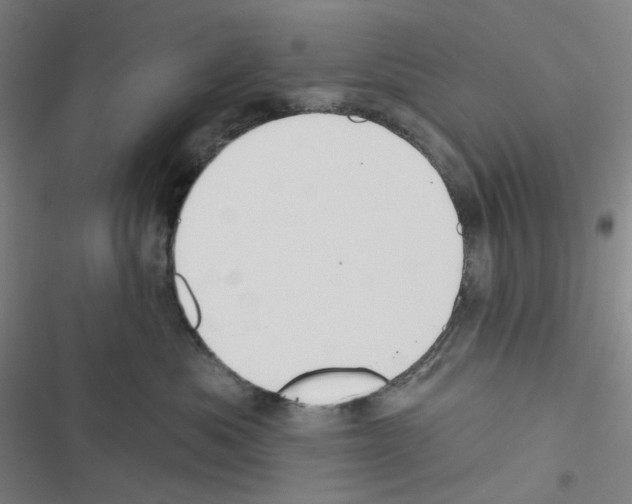 X0000116570525201001211246