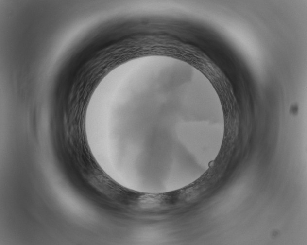 X0000116570526201001211246