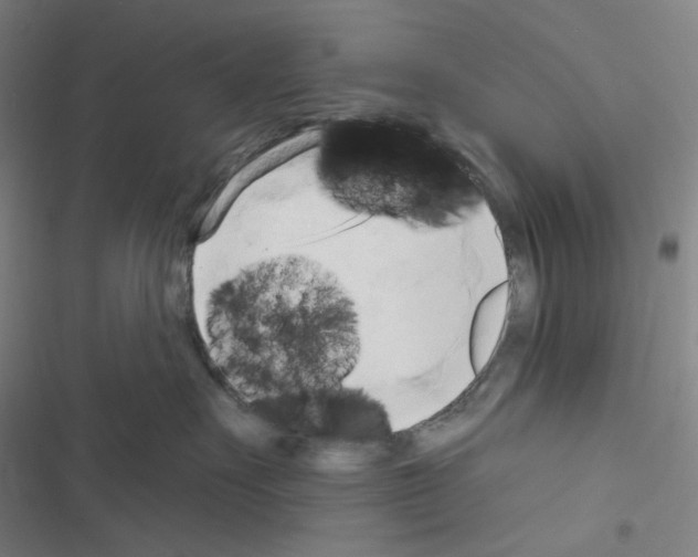 X0000116570527201001211246