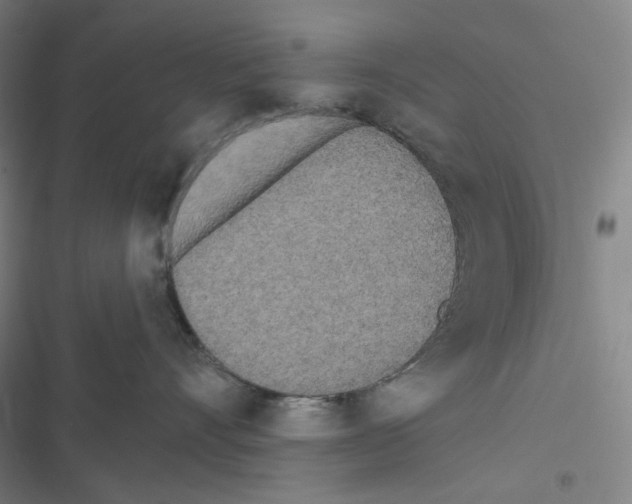 X0000116570528201001211246