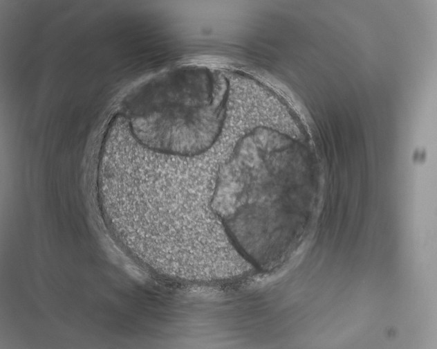 X0000116570529201001211245