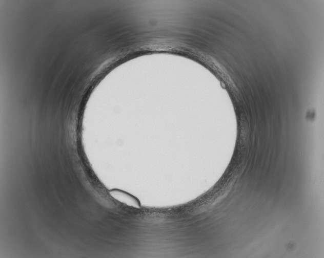 X0000116570530201001211245