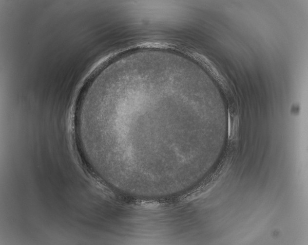 X0000116570531201001211245