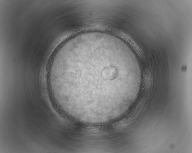 X0000116570534201001211245