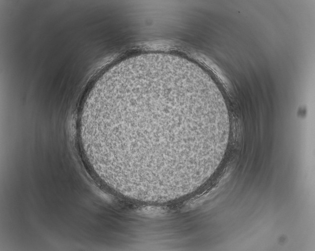 X0000116570537201001211246