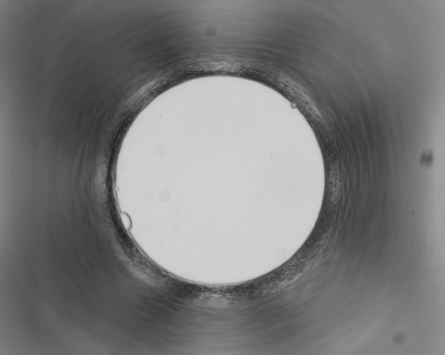 X0000116570538201001211246