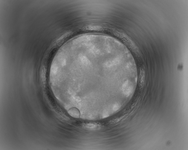 X0000116570542201001211246