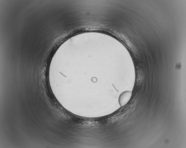 X0000116570543201001211246