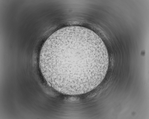 X0000116570546201001211246