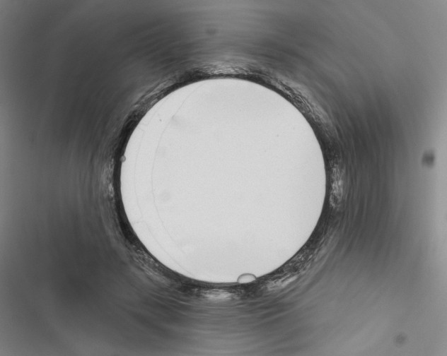 X0000116570547201001211246