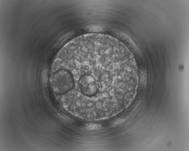 X0000116570549201001211246