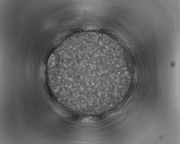 X0000116570550201001211246