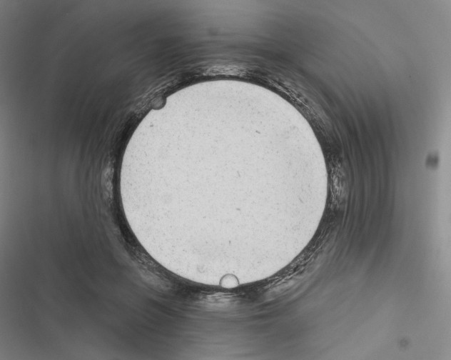 X0000116570551201001211246