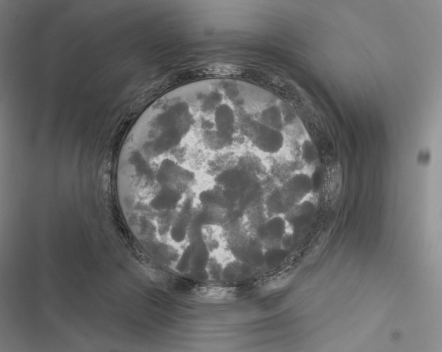 X0000116570553201001211246