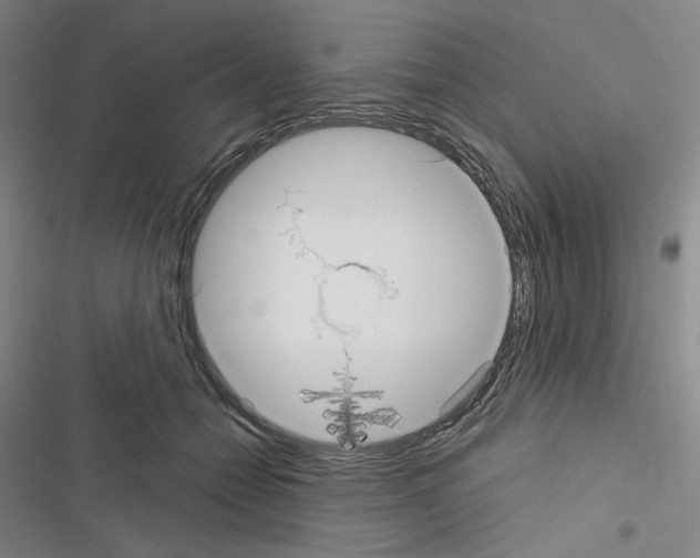 X0000116570558201001211246