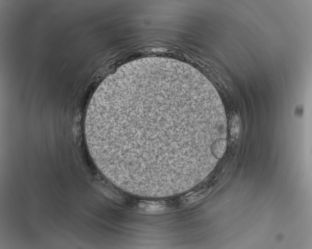 X0000116570559201001211246