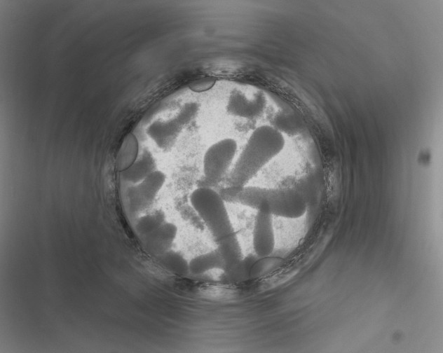 X0000116570561201001211246