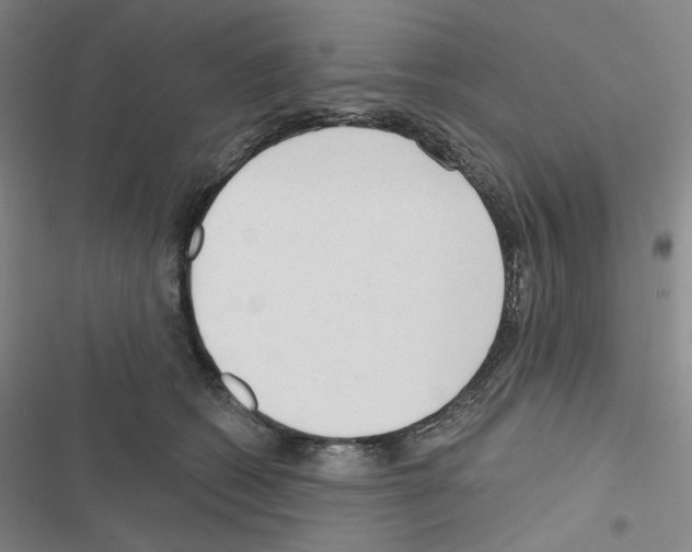 X0000116570562201001211246