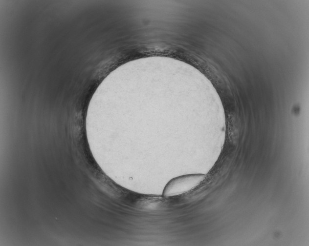 X0000116570563201001211246