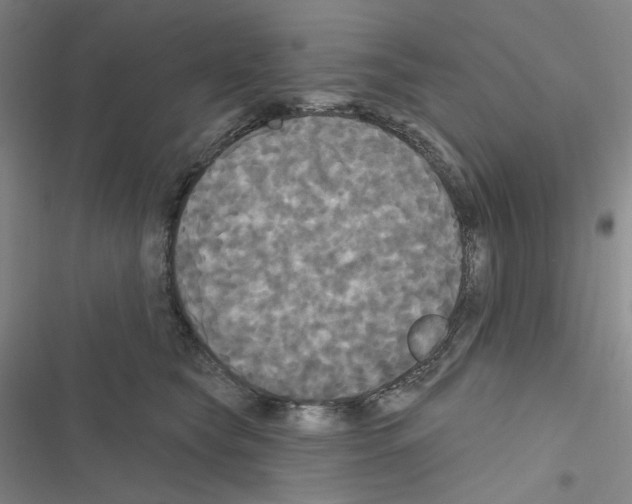 X0000116570565201001211246