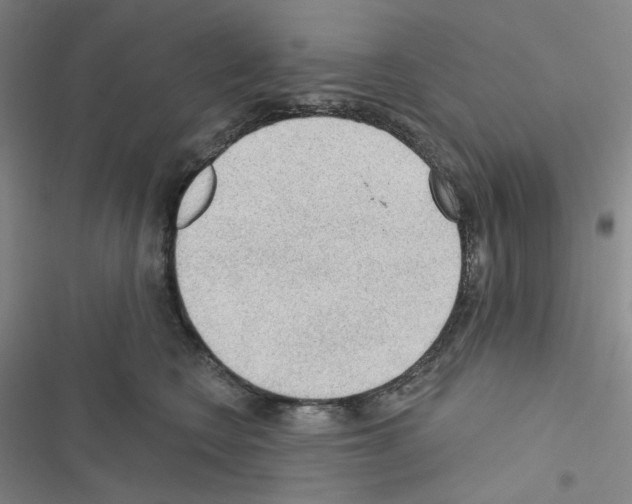 X0000116570566201001211246