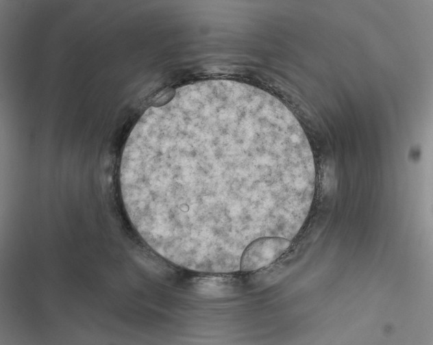 X0000116570567201001211246