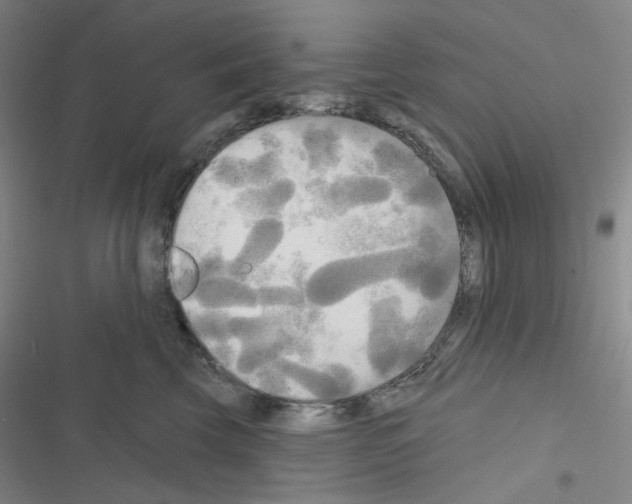 X0000116570569201001211246