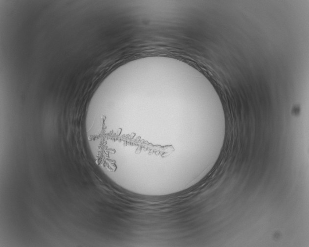 X0000116570570201001211246