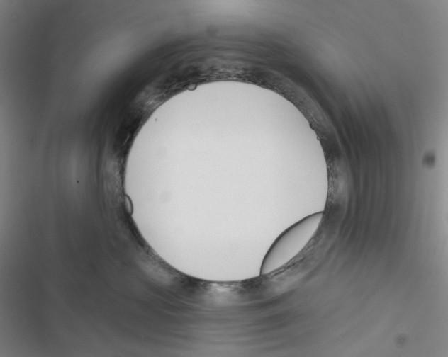 X0000116570573201001211246