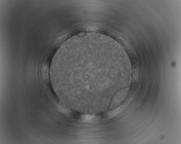 X0000116570575201001211246