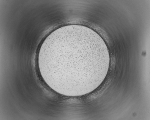 X0000116570578201001211245