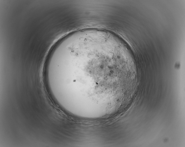 X0000116570579201001211245