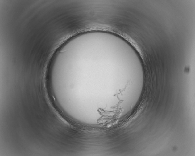 X0000116570581201001211245