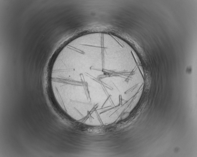 X0000116570582201001211245