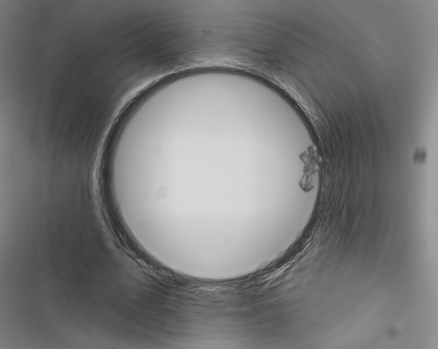 X0000116570583201001211245