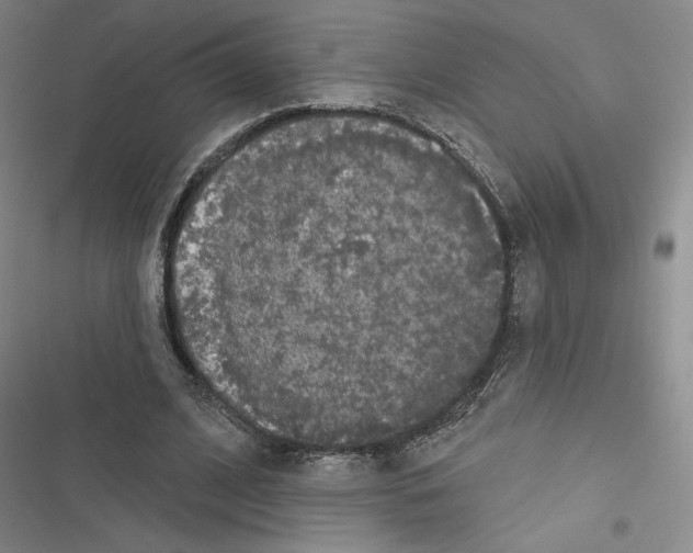 X0000116570584201001211245